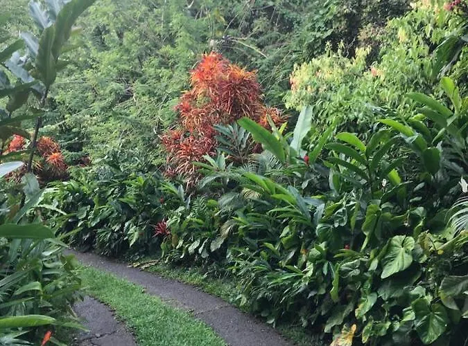Сasa de vacaciones Tropical Garden Self Catering