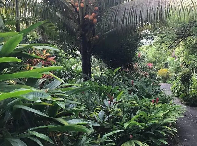 Сasa de vacaciones Tropical Garden Self Catering Victoria